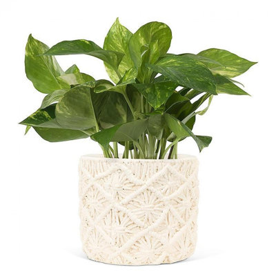 Pot à fleurs en macramé