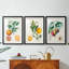 Orange de Malte - reproduction sur mesure encadrée de qualité supérieure - 3 pièces-1578508843-1578508842
