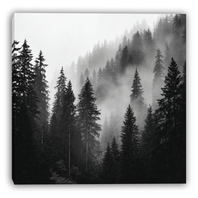 Art mural sur toile Evergreen