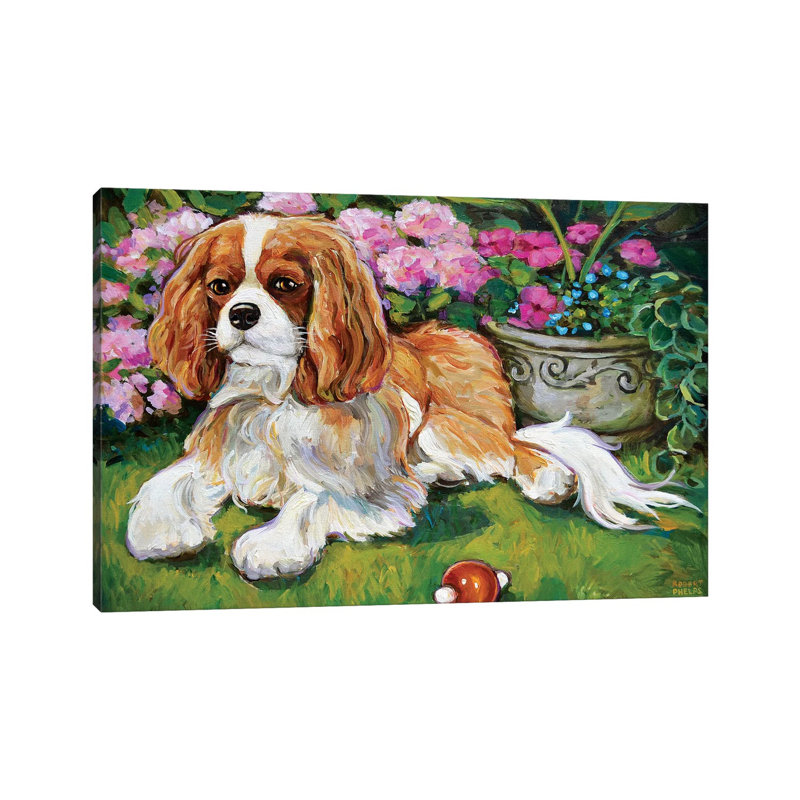 Cavalier King Charles Spaniel In The Garden by Robert Phelps - Wrapped Canvas Painting, 20.32 cm H x 30.48 cm W