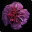 " Floral Majesty IV "-1060993303-1060993302