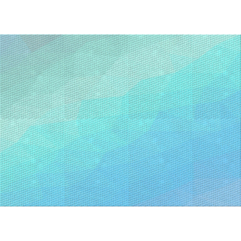 Indoor Rug, Rectangle 2' x 4'
