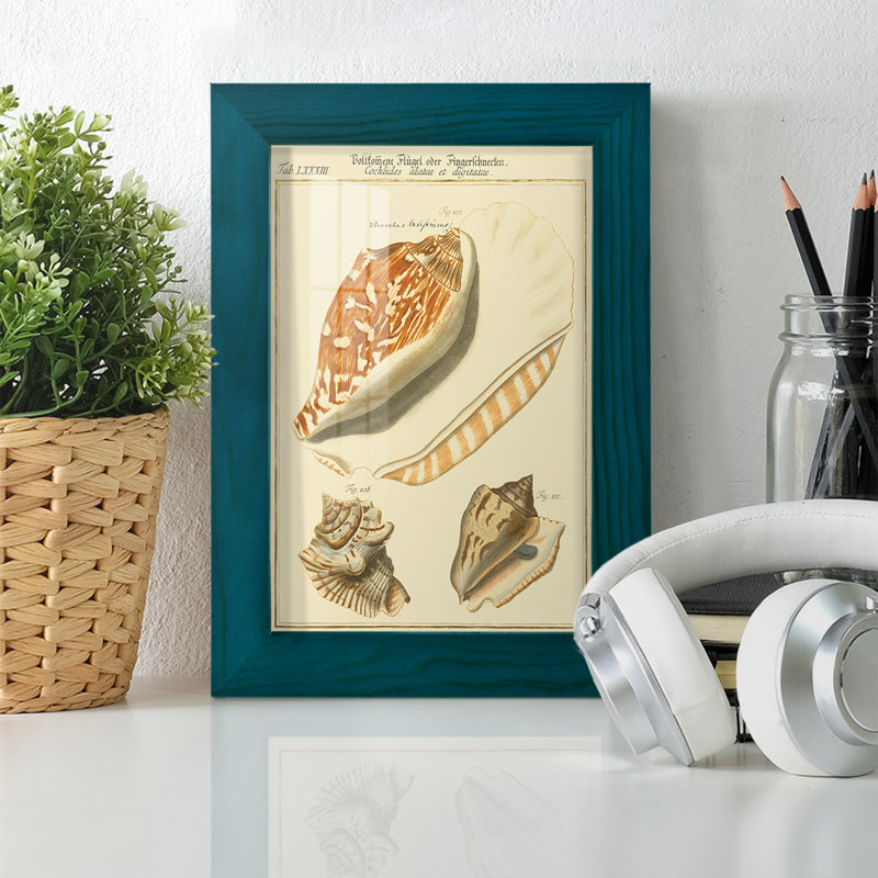 Coquilles de martini antique III sur papier, Bleu, H 6 po x l 4 po x P 1 po