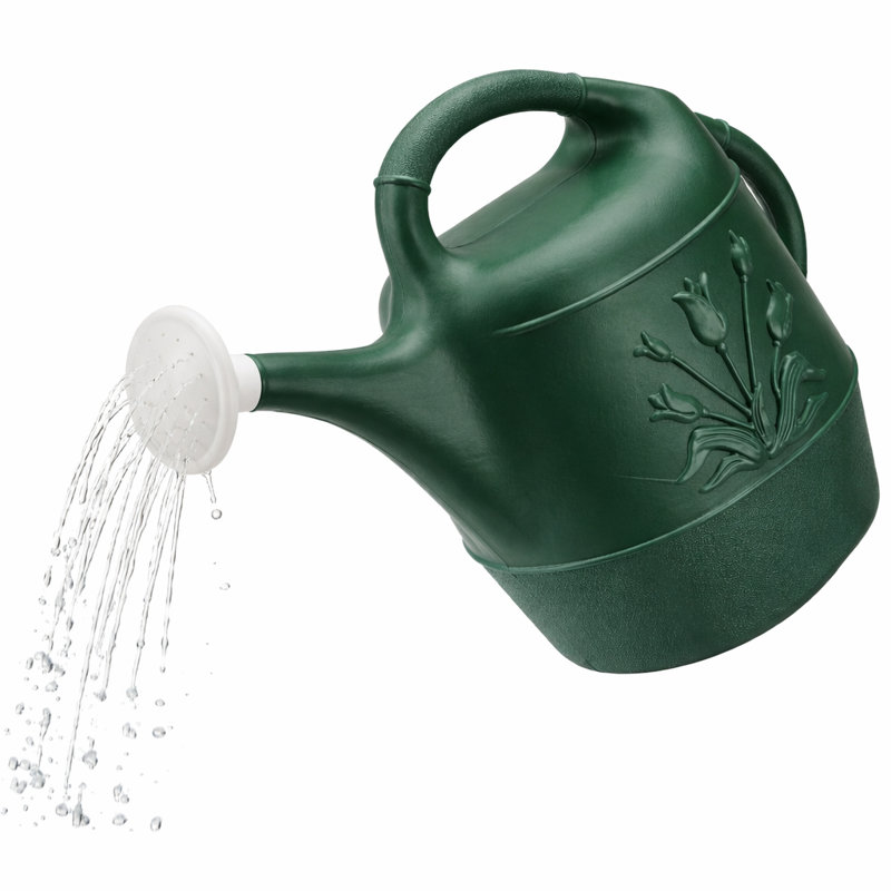 Arrosoir 2 gallons PMU - Arrosoir en plastique avec arroseur détachable, Vert forêt