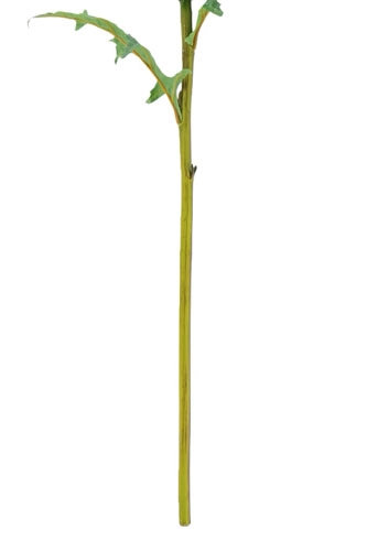 25" Artificial Purple Artichoke Stems
