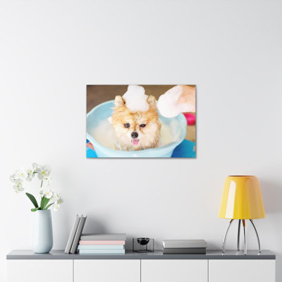 Funny Pomeranian Bathee Canvas Wall Art