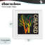 Chard Leafy-243149109-243149130