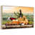 Floating Frame Natural Wood