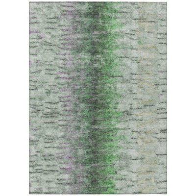 Machine Washable Indoor/Outdoor Chantille ACN2319 Casual Rug