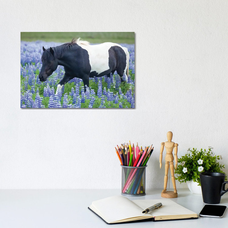 Icelandic Pony And Lupins by Gareth McCormack - Wrapped Canvas Print, 20.32 cm H x 30.48 cm W