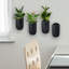 Wall Planter