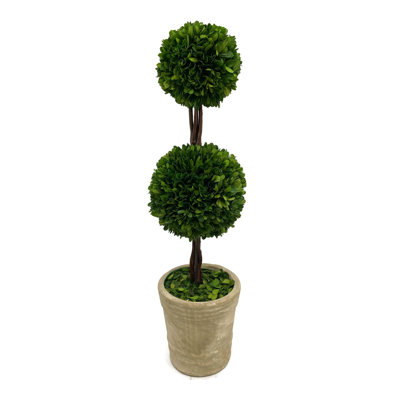 Karina 28 " H Faux Boxwood Topiary