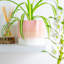 Nicola Spring - Reactive Glaze Plant Pots-63880890-63880895