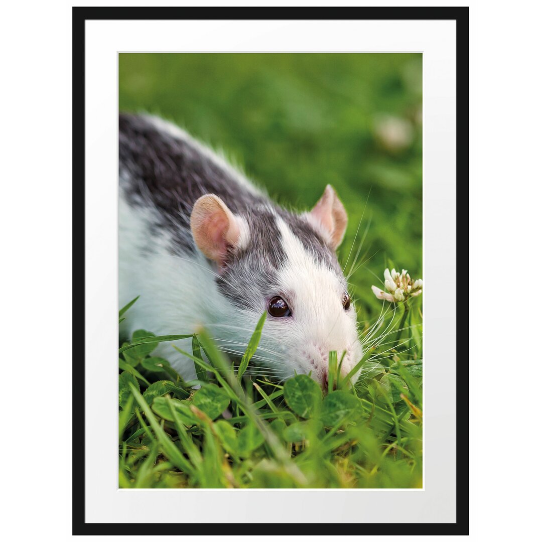 Gerahmtes Poster Maus auf Wiese