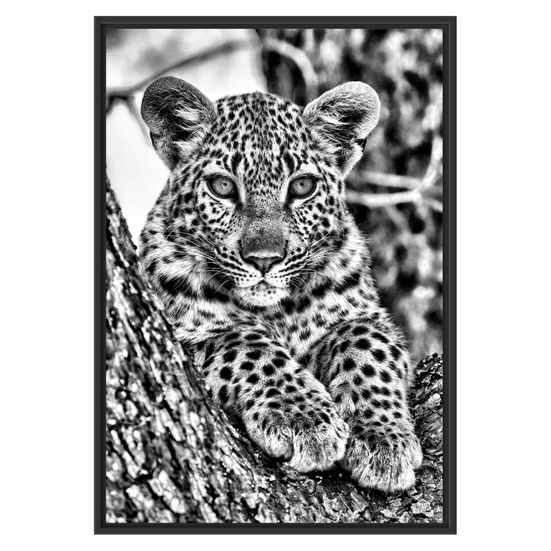 Gerahmtes Wandbild Leopardenbaby