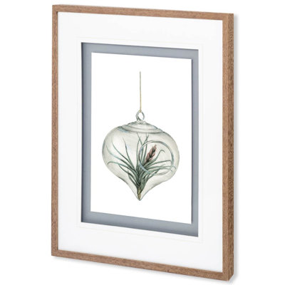 «Air Plant» par Harvey, Brenna, reproduction d'art encadrée sous verre