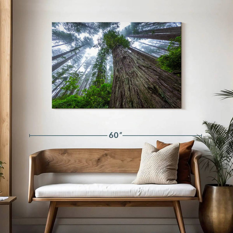 Harnek Misty Redwood, 30" H x 45" W