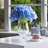 Hydrangea Arrangement in Vase-1872827673