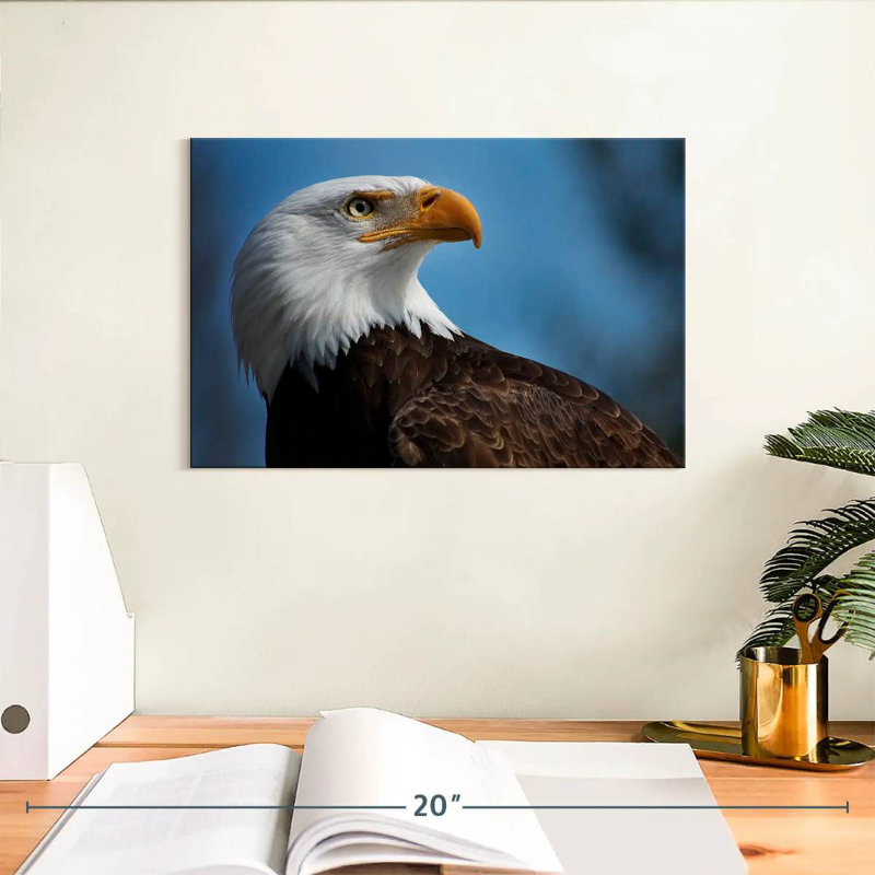 Brampt American Bald Eagle Headshot, 8" H x 12" W
