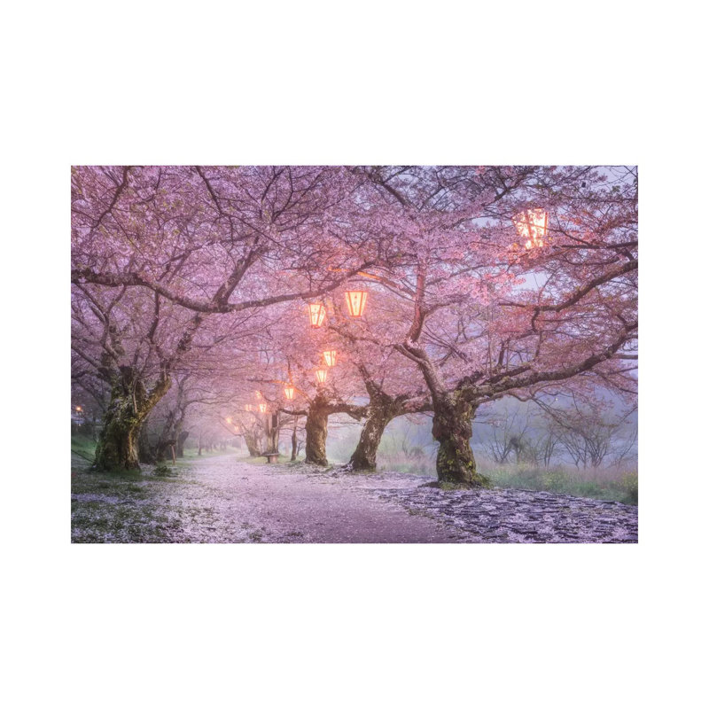 Spring In Japan III by Daniel Kordan - Print on Canvas, 30.48 cm H x 45.72 cm W, Wrapped Canvas