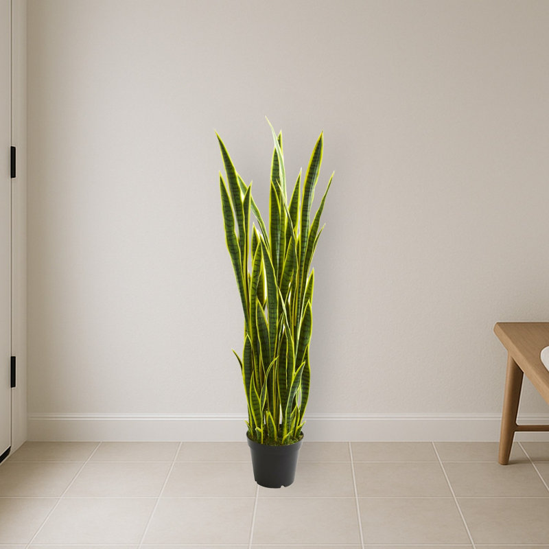 Sansevieria Artificial Plant