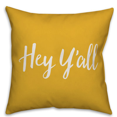  Coussin intérieur / extérieur Hey Y'all