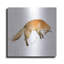 «J passer le renard» par Katrina Pete-1667296323