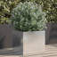 Planter Steel-855100148-855100159-1018920198