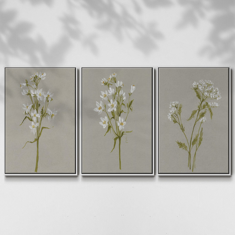 " Barxan I " 3 - Pieces, White, 27" H x 54" W
