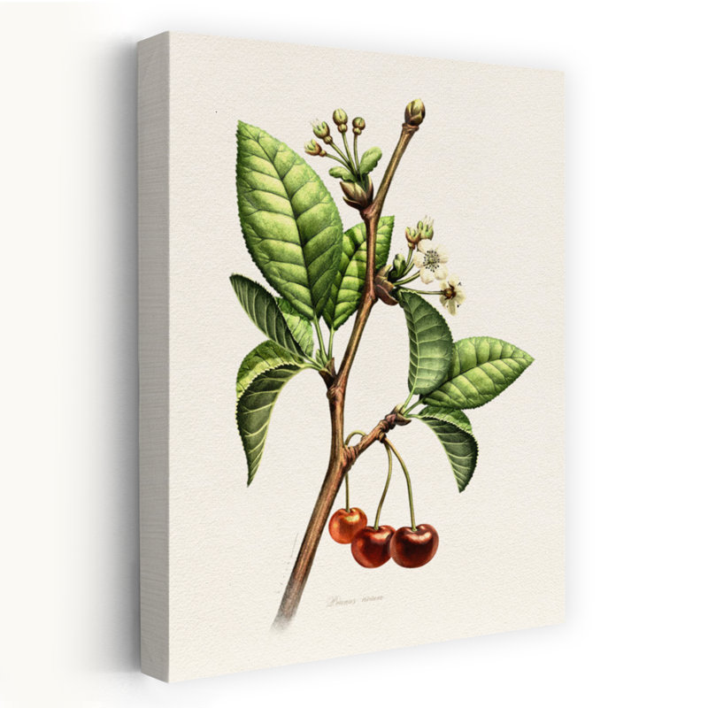 Art contemporain contemporain classique avec fleur de cerisier, H 48 po x l 32 po