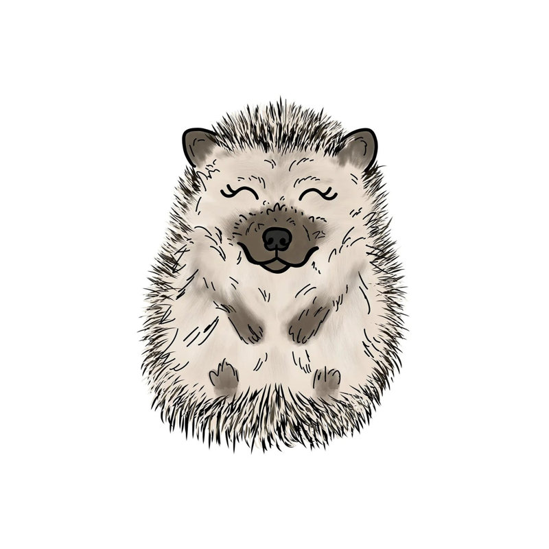 Hedgehog by Katie Bryant - Wrapped Canvas Print, 101.6 cm H x 66.04 cm W x 3.175 cm D