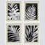 Ensemble de 4 reproductions murales botaniques florales noires et blanches industrielles sur toile, impression de 4 pièces-93012225-93012224