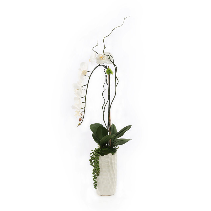 Orchid Faux Floral in Vase