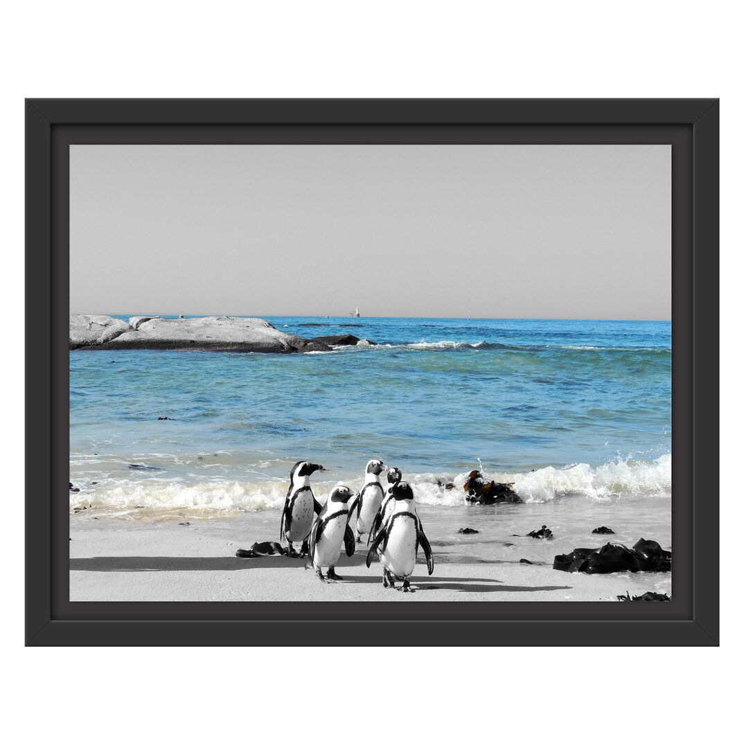 Gerahmtes Wandbild lustige Pinguine am Strand