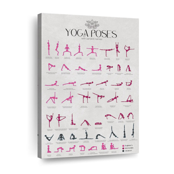 Sikhash Yoga Poses Poster (18x12 Inches) Yoga PosterS with Asanas/Positions/ Stretches English & Sanskrit (Rolled/Tube) : Amazon.in: Home & Kitchen