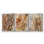 «Tree Texture Triptych I», toile encadrée de qualité supérieure - prête à être accrochée-69982859-69982858
