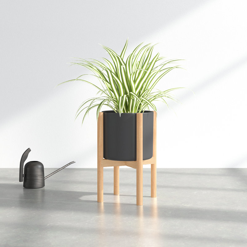 Dominic Pot Planter, Black/Beech Natural