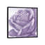 « magnificence ii », impression sur toile-29483277-73555196-73555195