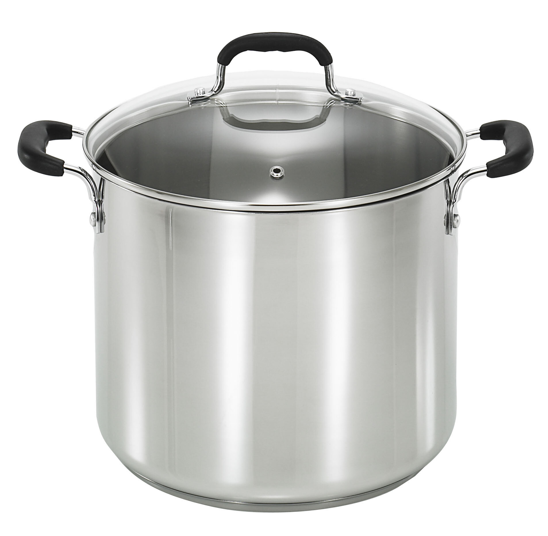 https://assets.wfcdn.com/im/11014096/compr-r85/4405/4405302/t-fal-stainless-steel-12-qt-stockpot-with-lid.jpg