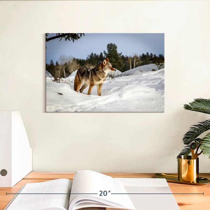 Coyotes de neige d'hiver Brampt, H 8 po x l 12 po