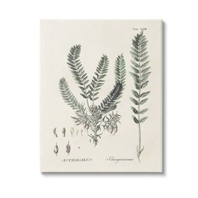 Forest Leaves Diagram Canvas Wall Art Design By Martini