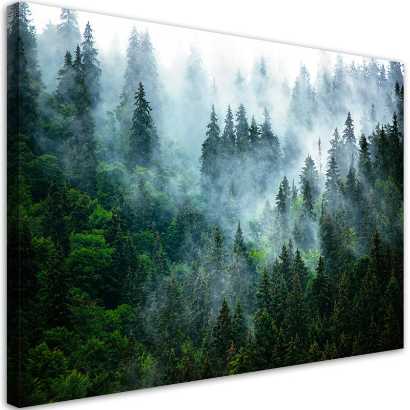 Forest In The Fog - Wrapped Canvas Print, 80cm H x 120cm W