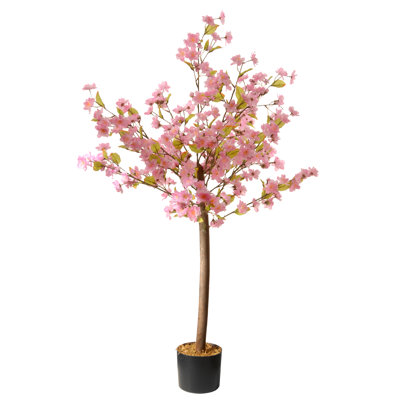 4 pi Cerisier en fleurs