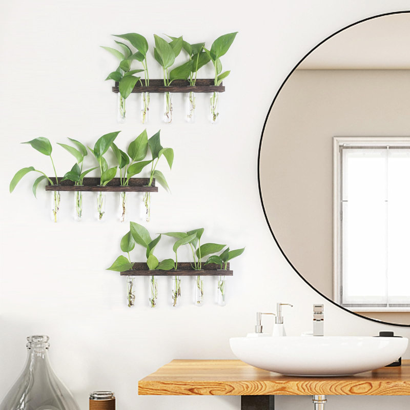 Terrarium mural suspendu avec support en bois