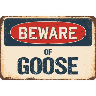  Spring Door Mats for Outside Entry Beware of Goose Rug