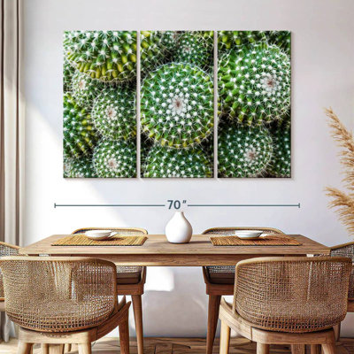 Harnek Golden Barrel Cacti