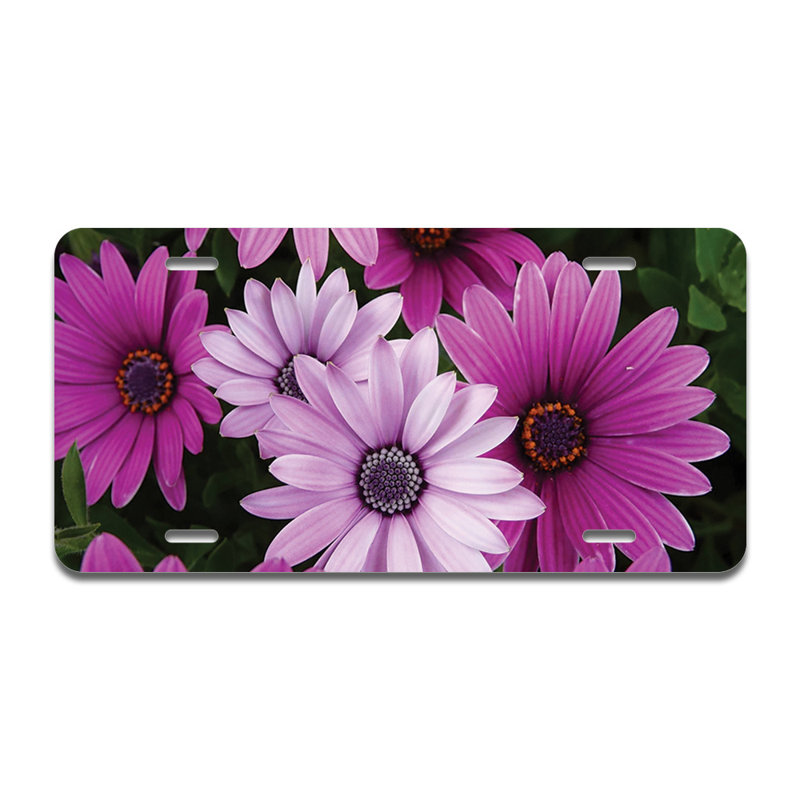 Cadre en aluminium mauve à fleurs mauves