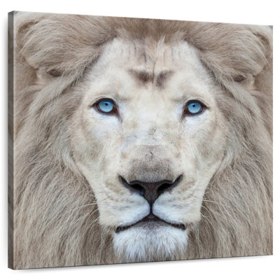 Brampt Exotic Lion