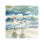 Beach Birds by Carol Robinson - Painting on Canvas-1124487507-1118097096
