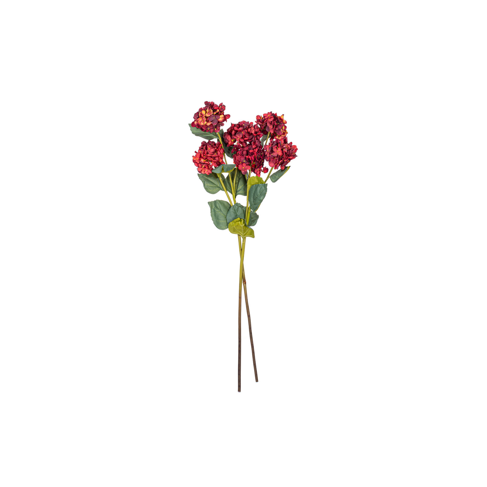 Hydrangea Stem, Burgundy